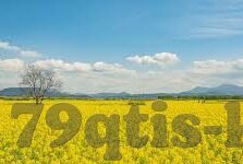 Beat365在线官网登录入口，便捷体验与安全指南